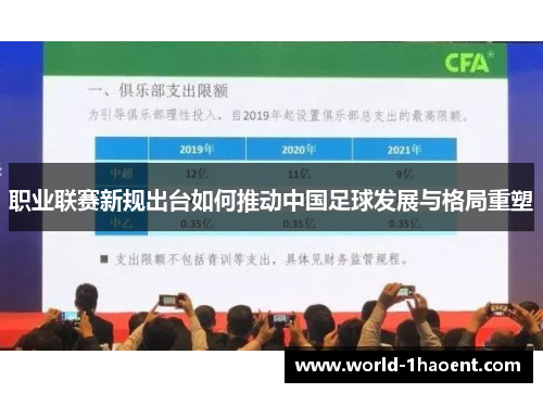 职业联赛新规出台如何推动中国足球发展与格局重塑 职业联赛新规出台如何推动中国足球发展与格局重塑