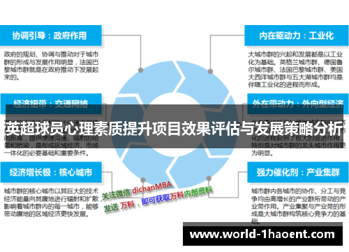 英超球员心理素质提升项目效果评估与发展策略分析