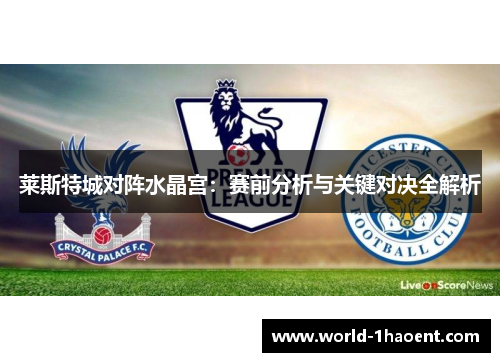 莱斯特城对阵水晶宫:赛前分析与关键对决全解析 莱斯特城对阵水晶宫:赛前分析与关键对决全解析